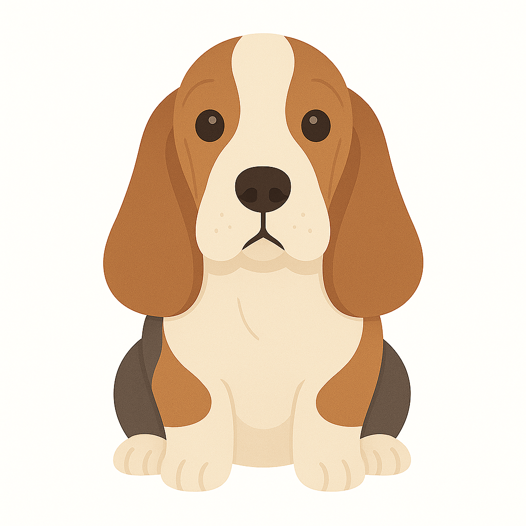 Basset Hound