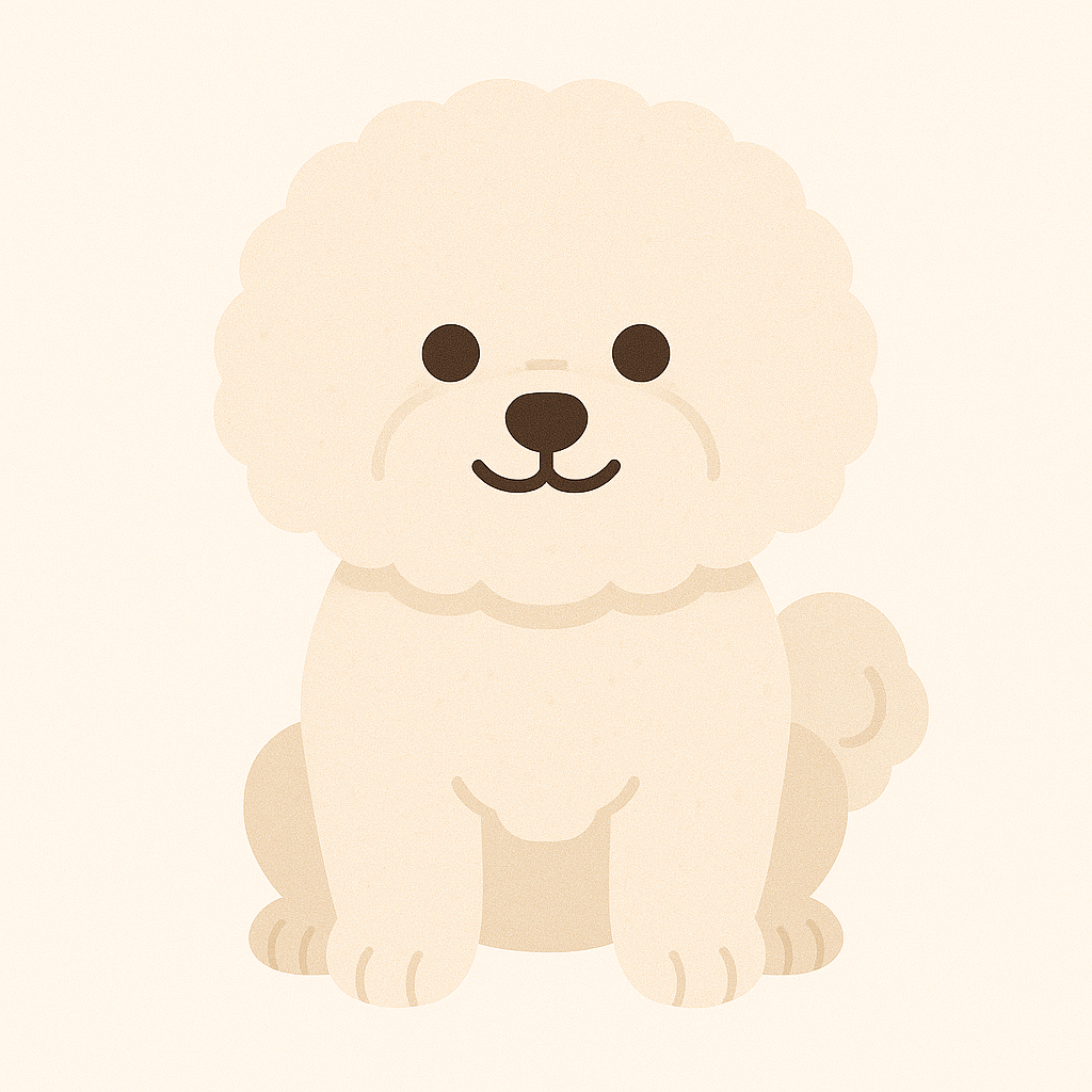 Bichon Frisé