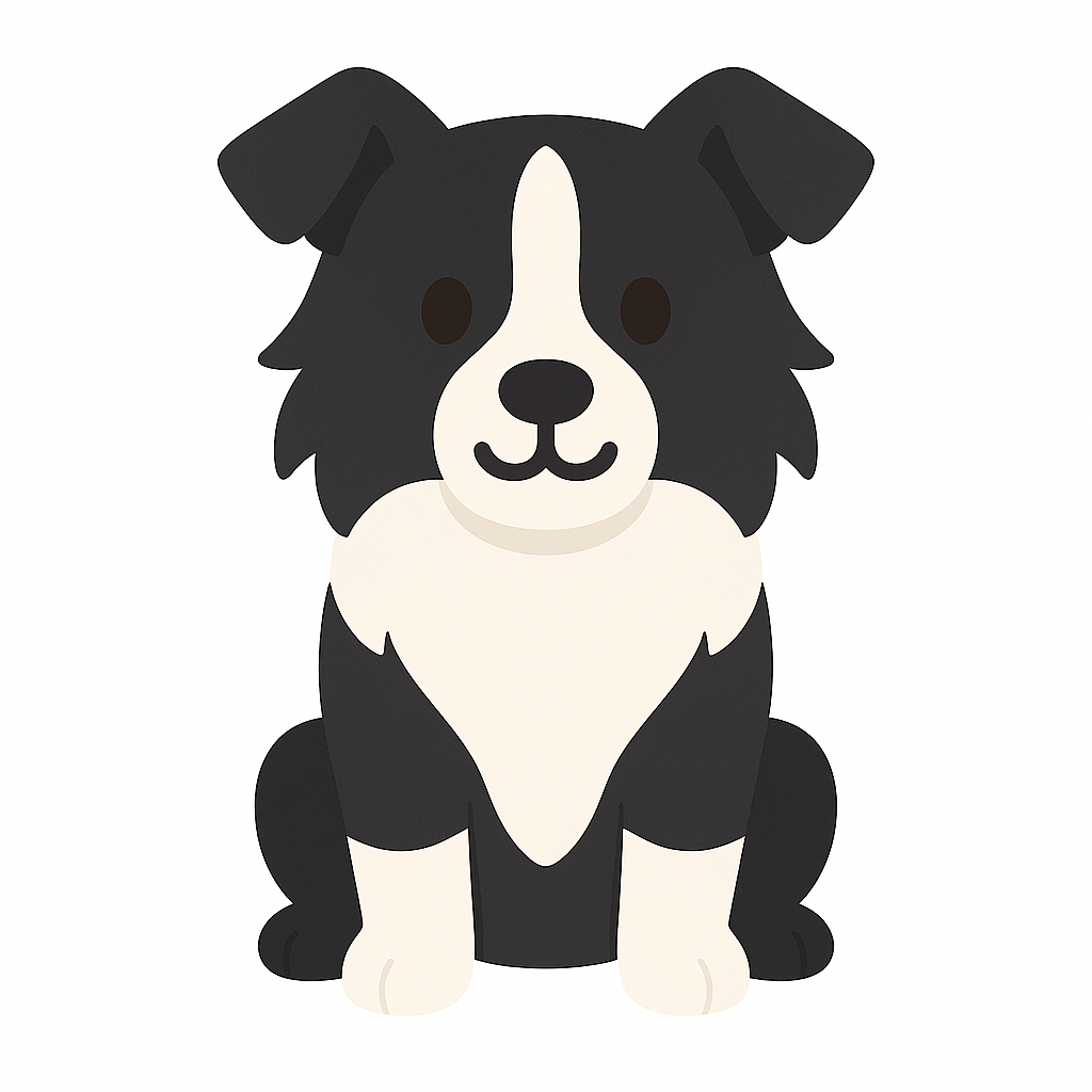 Border Collie profile